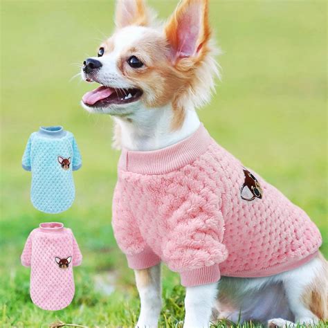 pet clothing 